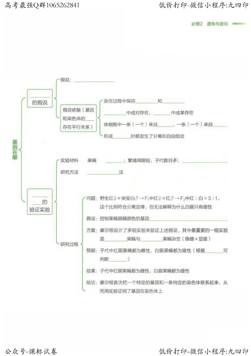 2023新高考生物核心考点基础知识妙招（336页）_高中三年全科资料_高中_高中知识点整理_生物