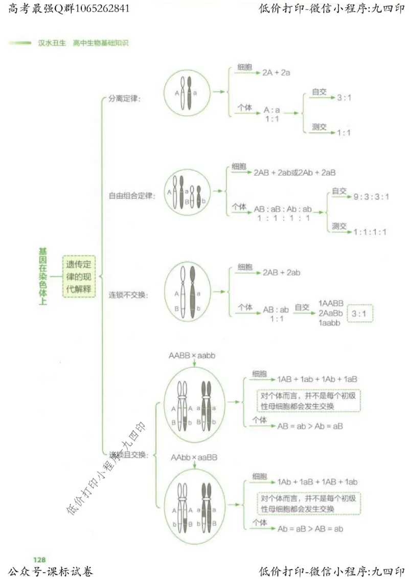 2023新高考生物核心考点基础知识妙招（336页）_高中三年全科资料_高中_高中知识点整理_生物