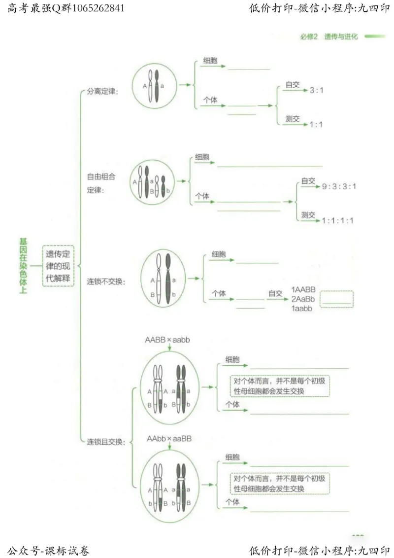 2023新高考生物核心考点基础知识妙招（336页）_高中三年全科资料_高中_高中知识点整理_生物