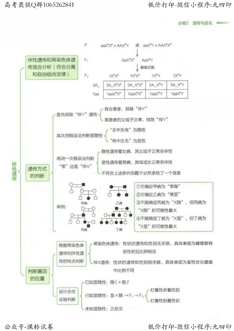 2023新高考生物核心考点基础知识妙招（336页）_高中三年全科资料_高中_高中知识点整理_生物