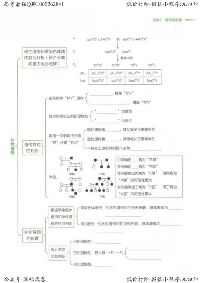 2023新高考生物核心考点基础知识妙招（336页）_高中三年全科资料_高中_高中知识点整理_生物