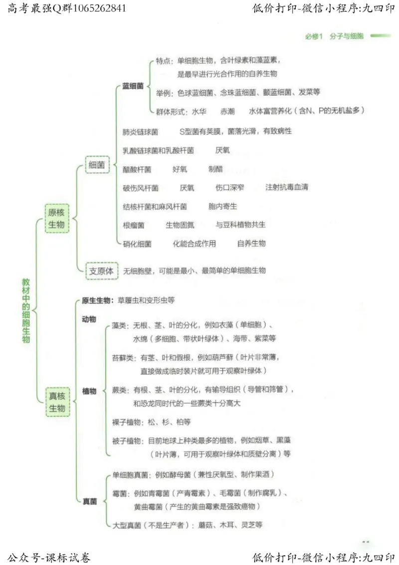 2023新高考生物核心考点基础知识妙招（336页）_高中三年全科资料_高中_高中知识点整理_生物
