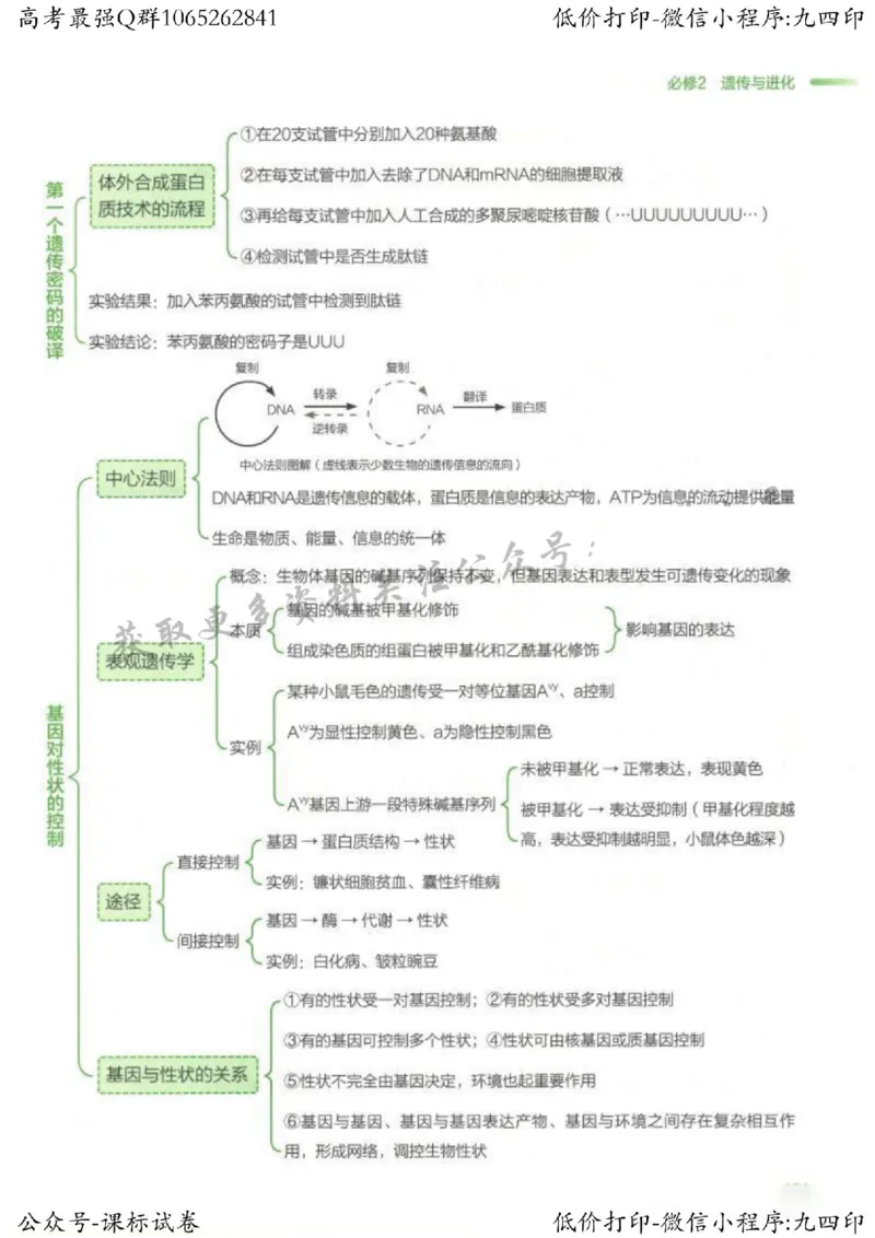 2023新高考生物核心考点基础知识妙招（336页）_高中三年全科资料_高中_高中知识点整理_生物