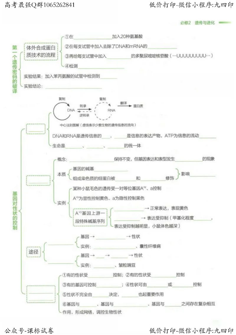 2023新高考生物核心考点基础知识妙招（336页）_高中三年全科资料_高中_高中知识点整理_生物