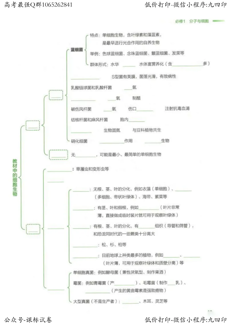 2023新高考生物核心考点基础知识妙招（336页）_高中三年全科资料_高中_高中知识点整理_生物