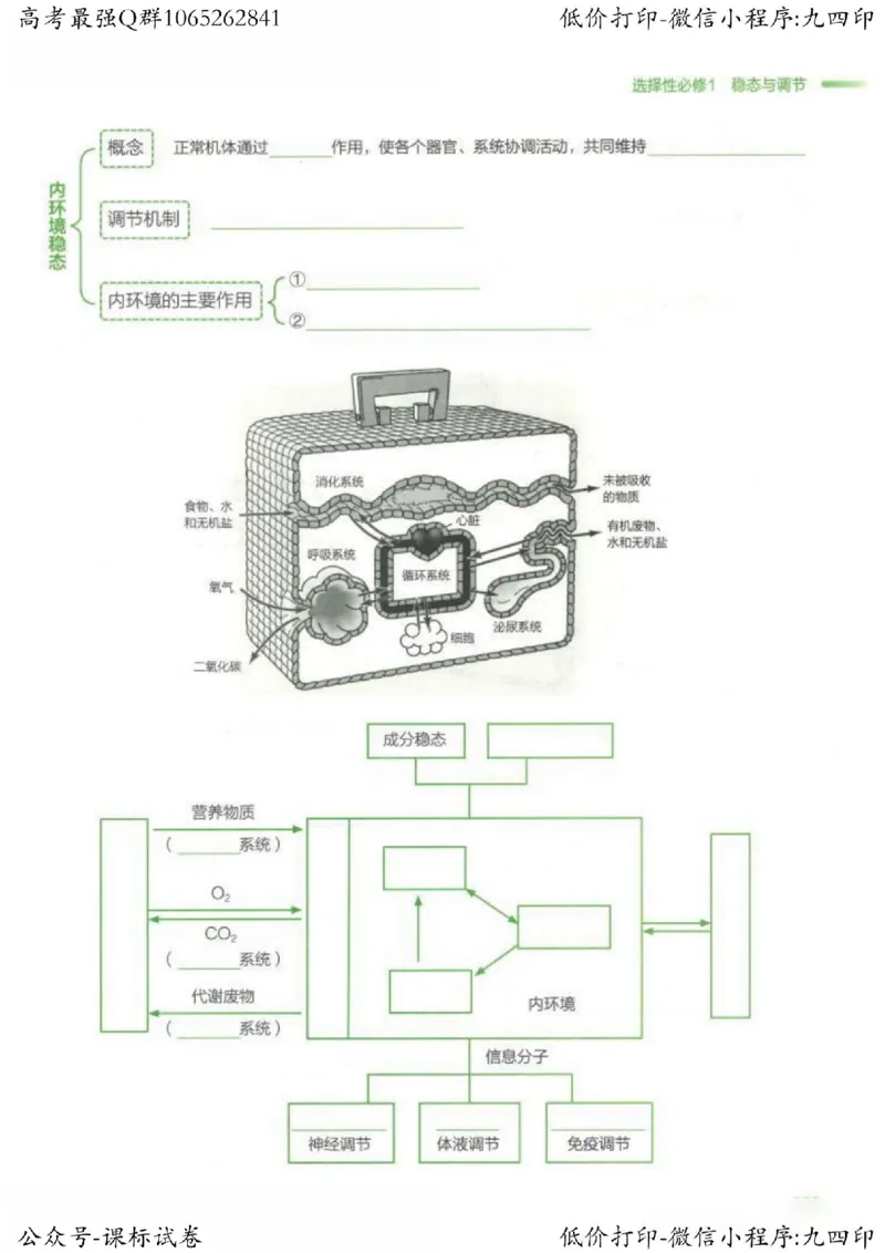 2023新高考生物核心考点基础知识妙招（336页）_高中三年全科资料_高中_高中知识点整理_生物