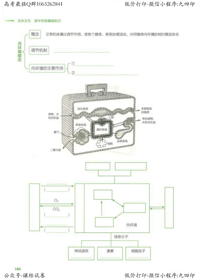 2023新高考生物核心考点基础知识妙招（336页）_高中三年全科资料_高中_高中知识点整理_生物