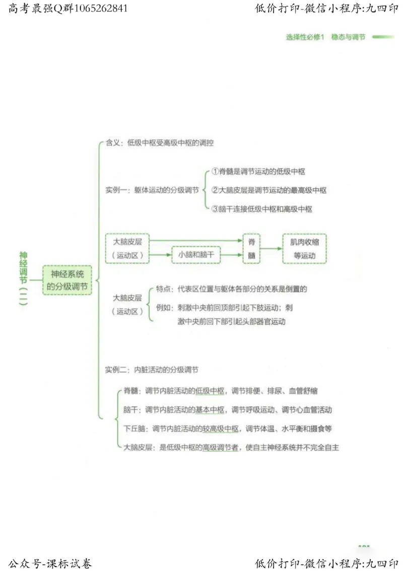 2023新高考生物核心考点基础知识妙招（336页）_高中三年全科资料_高中_高中知识点整理_生物