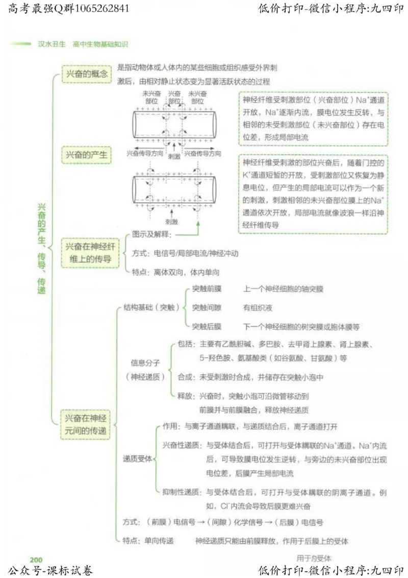 2023新高考生物核心考点基础知识妙招（336页）_高中三年全科资料_高中_高中知识点整理_生物