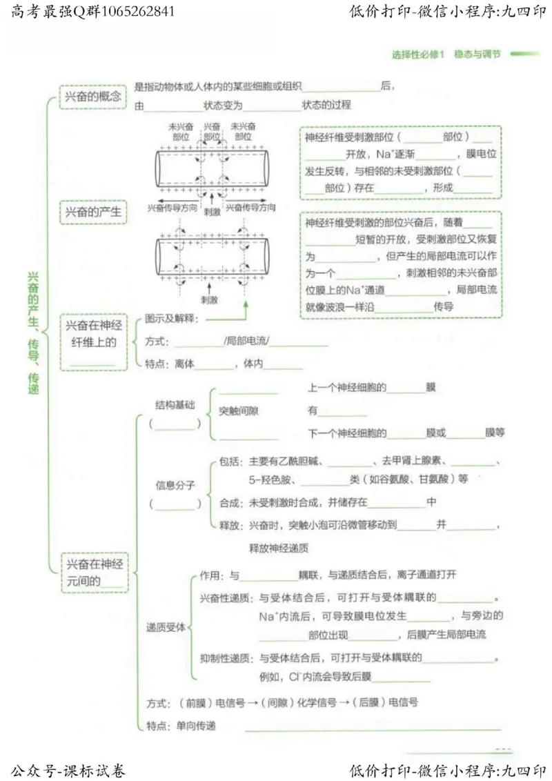 2023新高考生物核心考点基础知识妙招（336页）_高中三年全科资料_高中_高中知识点整理_生物