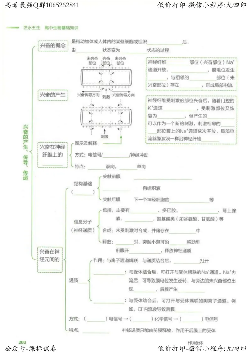 2023新高考生物核心考点基础知识妙招（336页）_高中三年全科资料_高中_高中知识点整理_生物