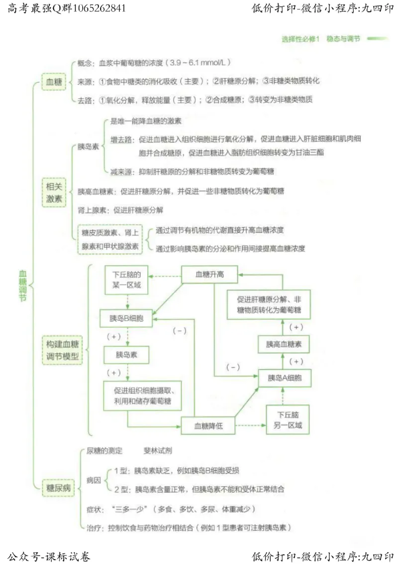 2023新高考生物核心考点基础知识妙招（336页）_高中三年全科资料_高中_高中知识点整理_生物