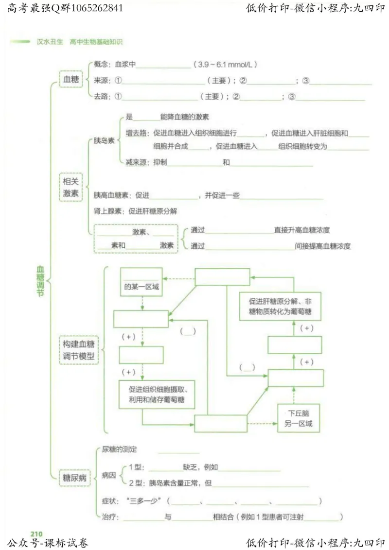 2023新高考生物核心考点基础知识妙招（336页）_高中三年全科资料_高中_高中知识点整理_生物