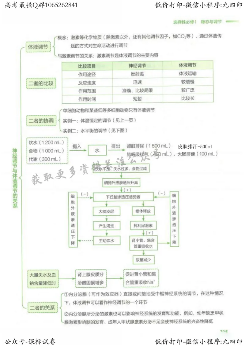2023新高考生物核心考点基础知识妙招（336页）_高中三年全科资料_高中_高中知识点整理_生物