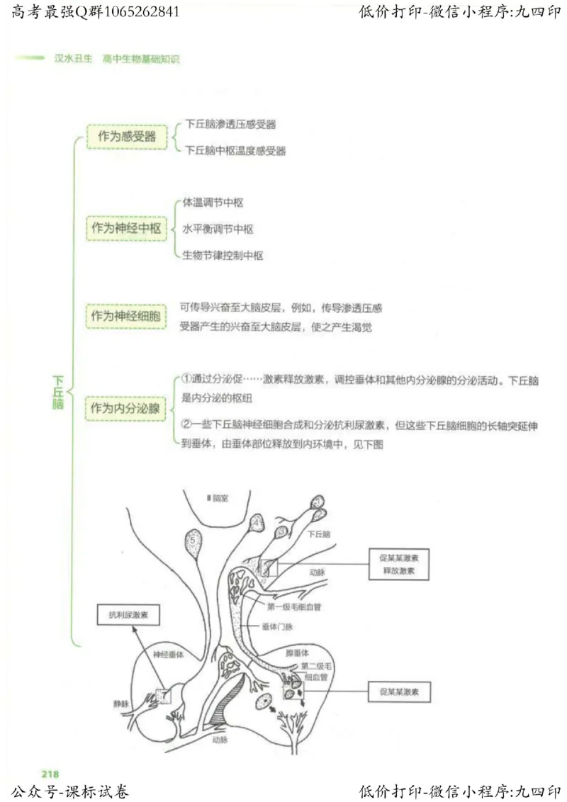 2023新高考生物核心考点基础知识妙招（336页）_高中三年全科资料_高中_高中知识点整理_生物