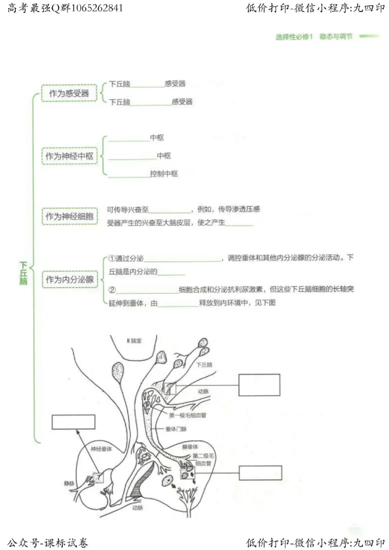 2023新高考生物核心考点基础知识妙招（336页）_高中三年全科资料_高中_高中知识点整理_生物