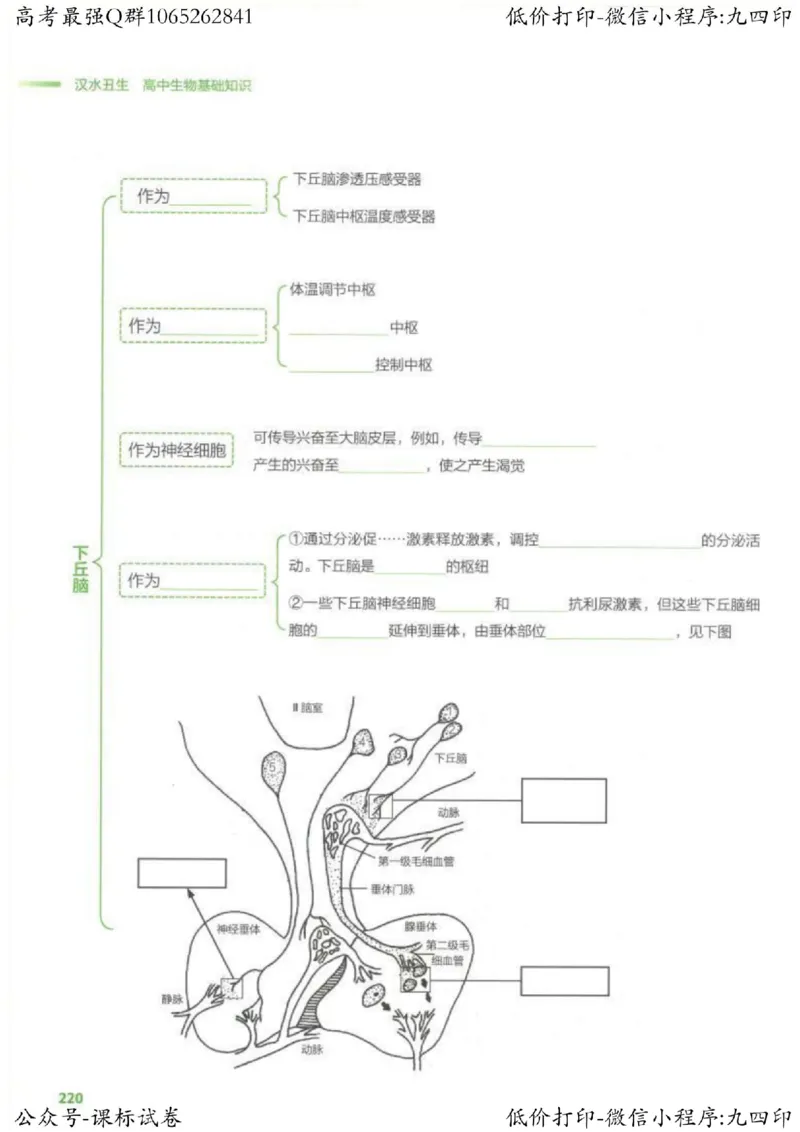 2023新高考生物核心考点基础知识妙招（336页）_高中三年全科资料_高中_高中知识点整理_生物