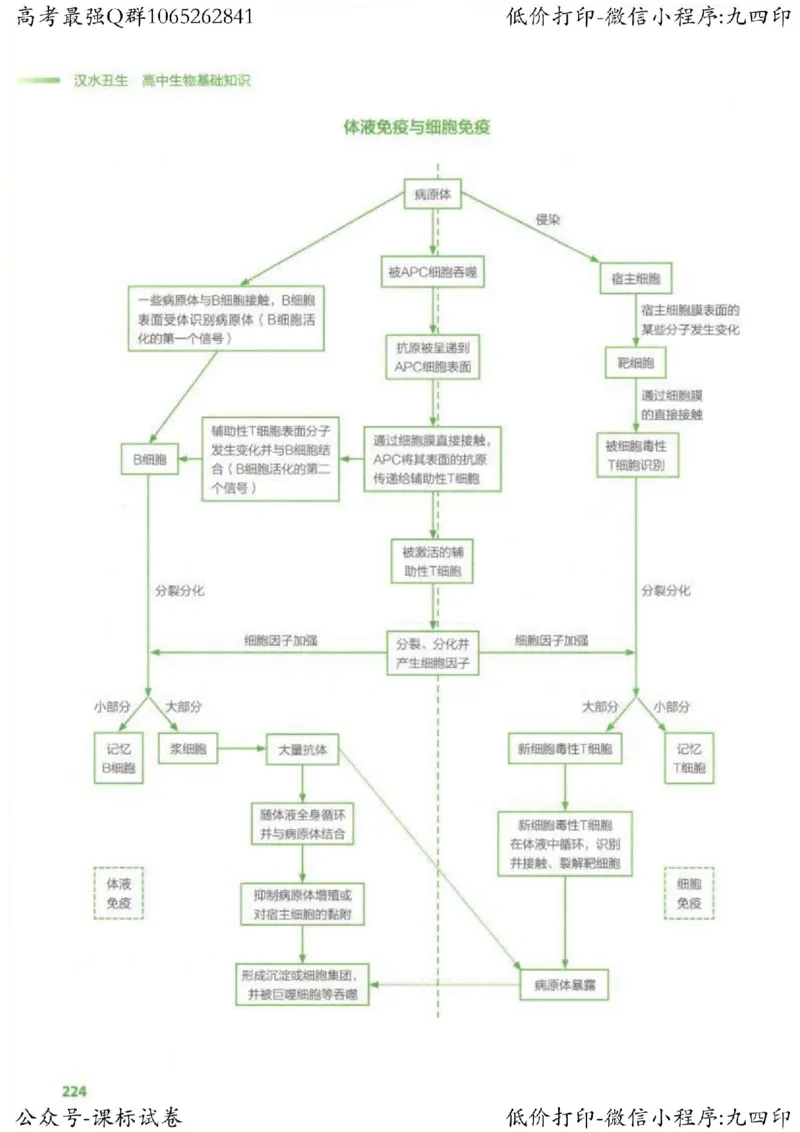 2023新高考生物核心考点基础知识妙招（336页）_高中三年全科资料_高中_高中知识点整理_生物