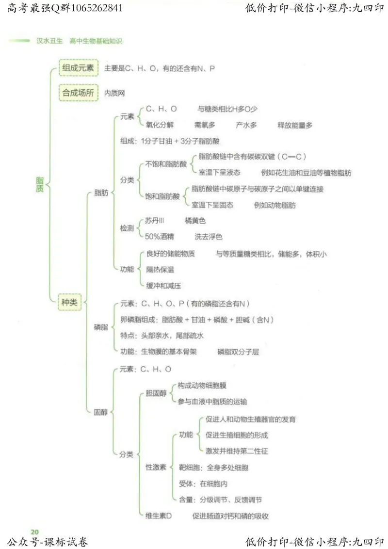 2023新高考生物核心考点基础知识妙招（336页）_高中三年全科资料_高中_高中知识点整理_生物
