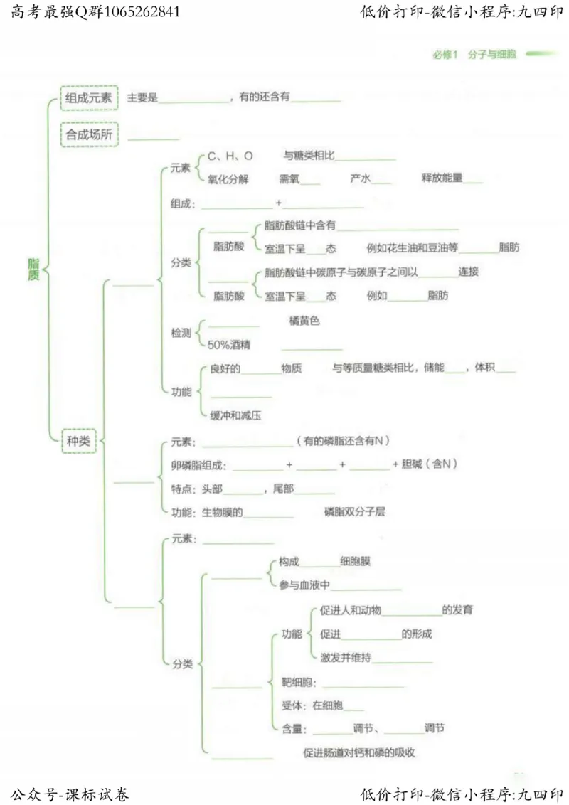 2023新高考生物核心考点基础知识妙招（336页）_高中三年全科资料_高中_高中知识点整理_生物