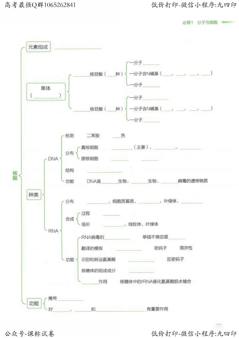 2023新高考生物核心考点基础知识妙招（336页）_高中三年全科资料_高中_高中知识点整理_生物