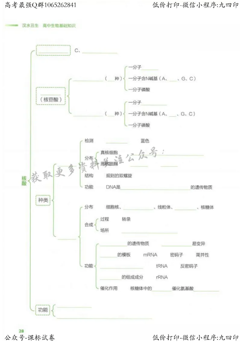 2023新高考生物核心考点基础知识妙招（336页）_高中三年全科资料_高中_高中知识点整理_生物