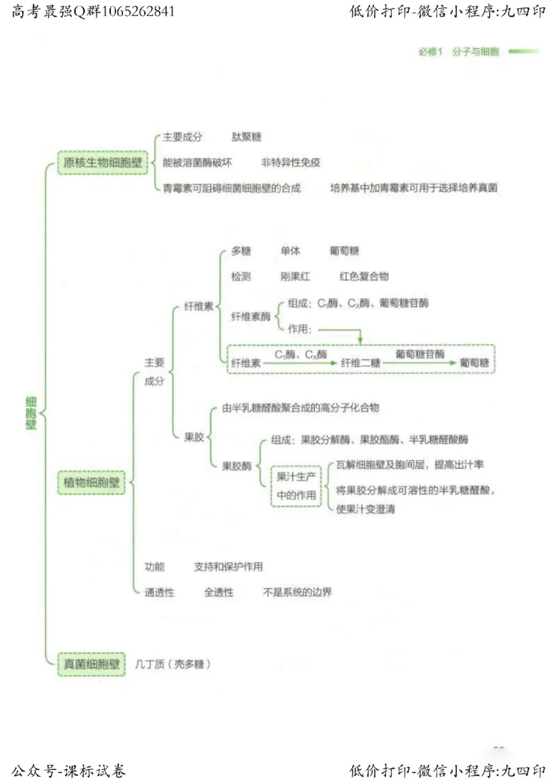 2023新高考生物核心考点基础知识妙招（336页）_高中三年全科资料_高中_高中知识点整理_生物