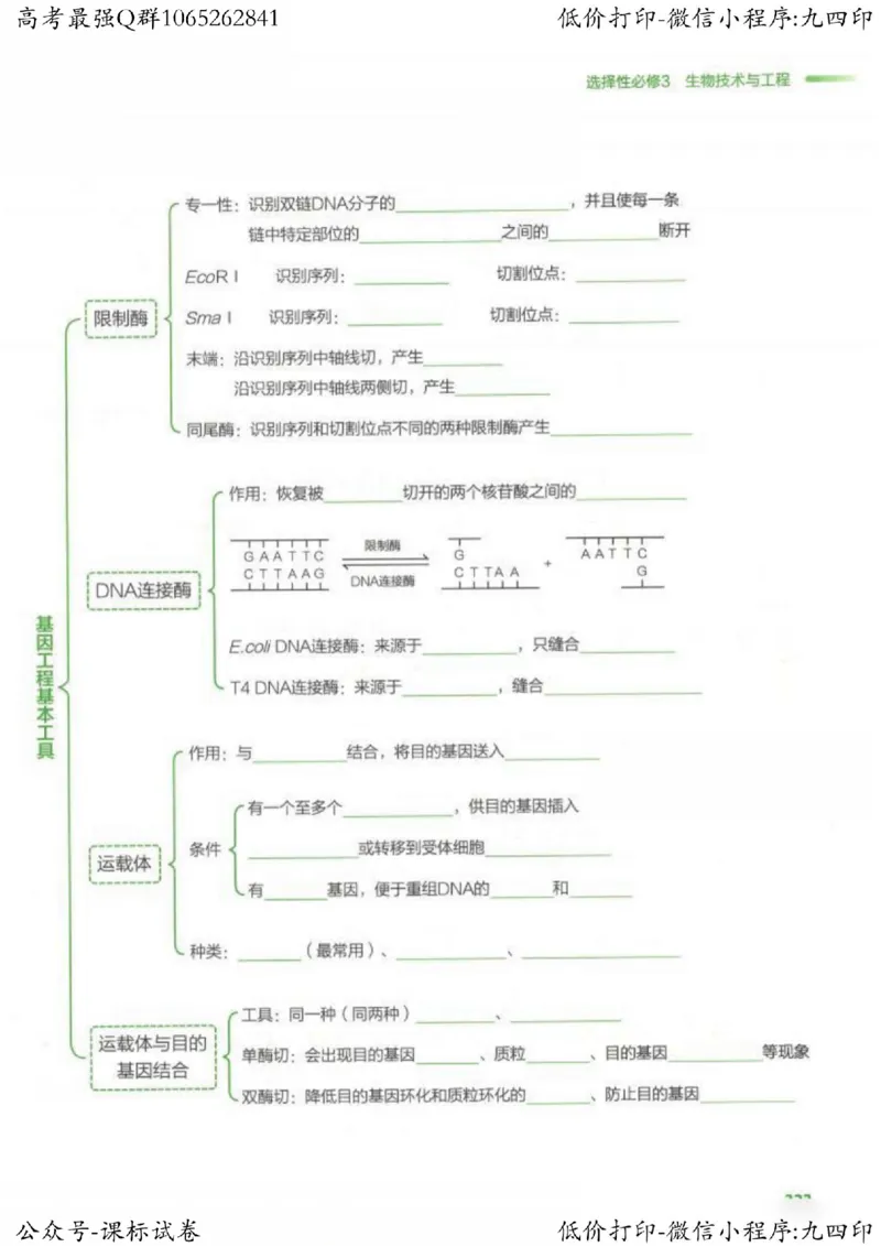 2023新高考生物核心考点基础知识妙招（336页）_高中三年全科资料_高中_高中知识点整理_生物