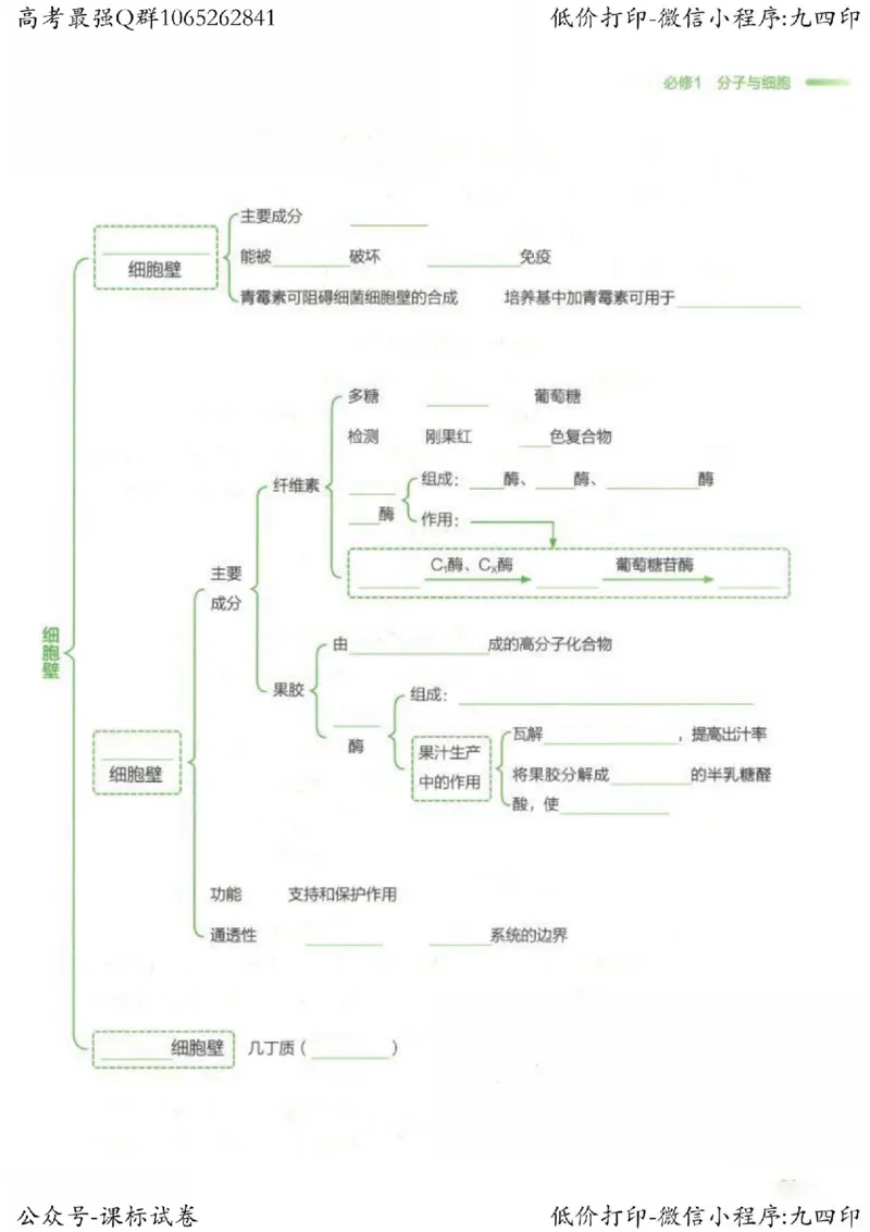 2023新高考生物核心考点基础知识妙招（336页）_高中三年全科资料_高中_高中知识点整理_生物