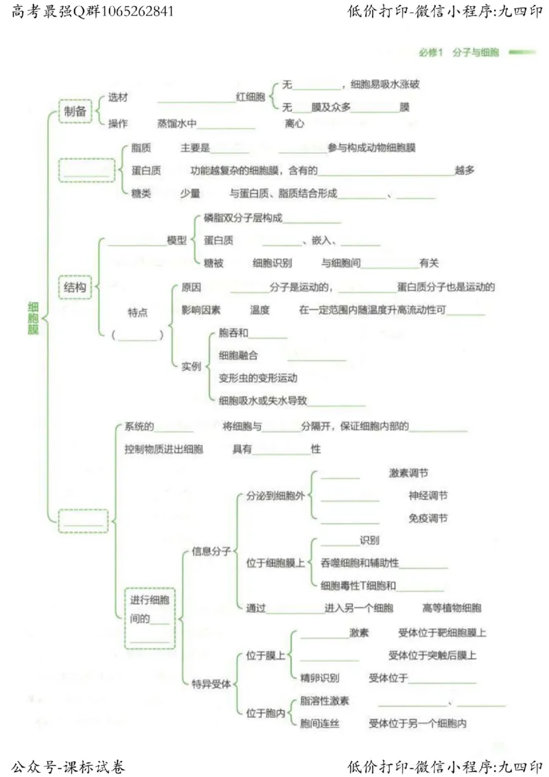 2023新高考生物核心考点基础知识妙招（336页）_高中三年全科资料_高中_高中知识点整理_生物