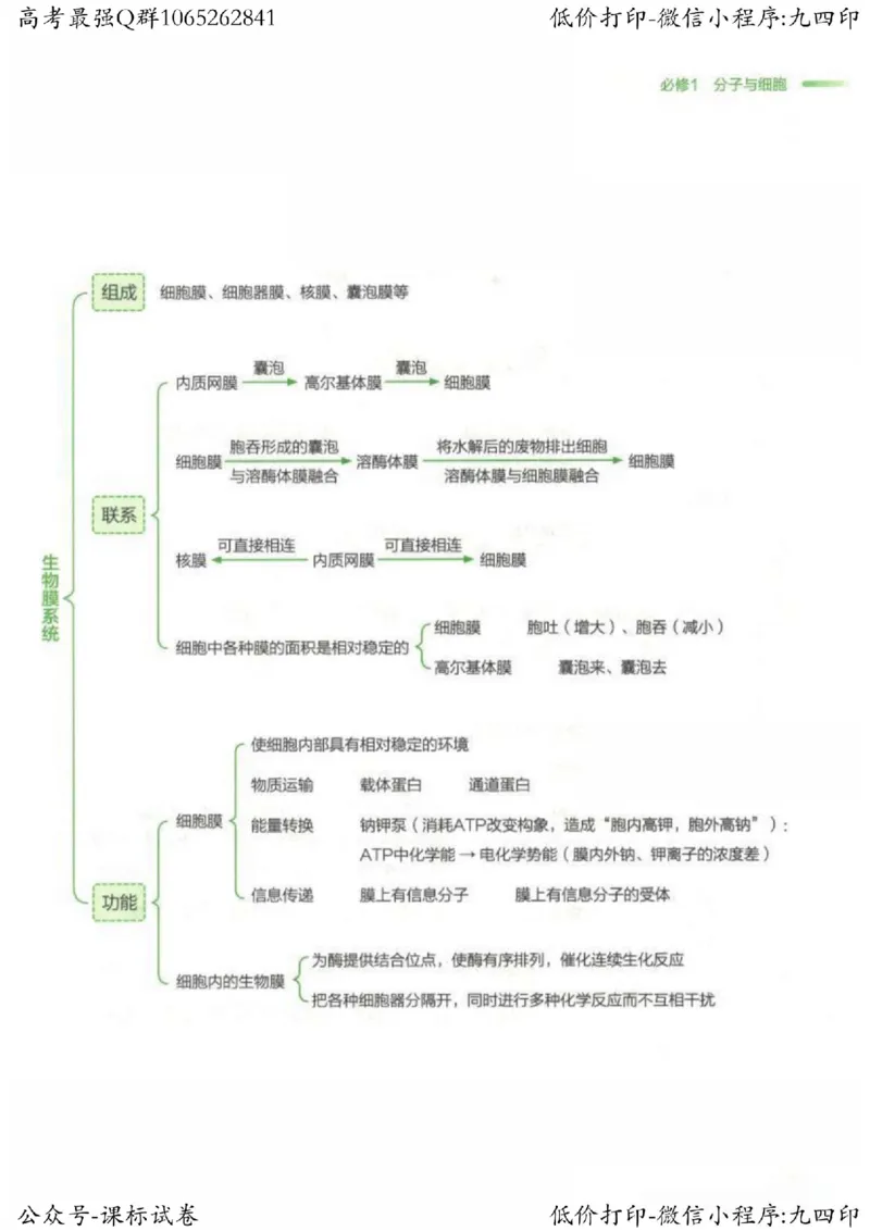 2023新高考生物核心考点基础知识妙招（336页）_高中三年全科资料_高中_高中知识点整理_生物
