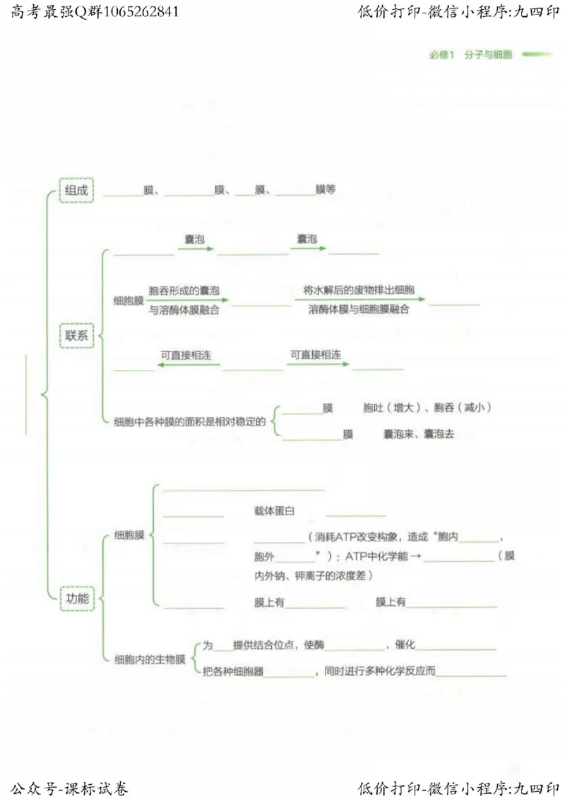 2023新高考生物核心考点基础知识妙招（336页）_高中三年全科资料_高中_高中知识点整理_生物