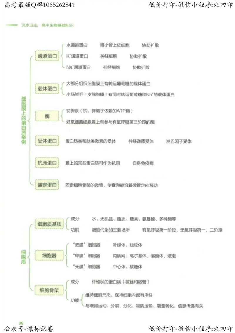 2023新高考生物核心考点基础知识妙招（336页）_高中三年全科资料_高中_高中知识点整理_生物