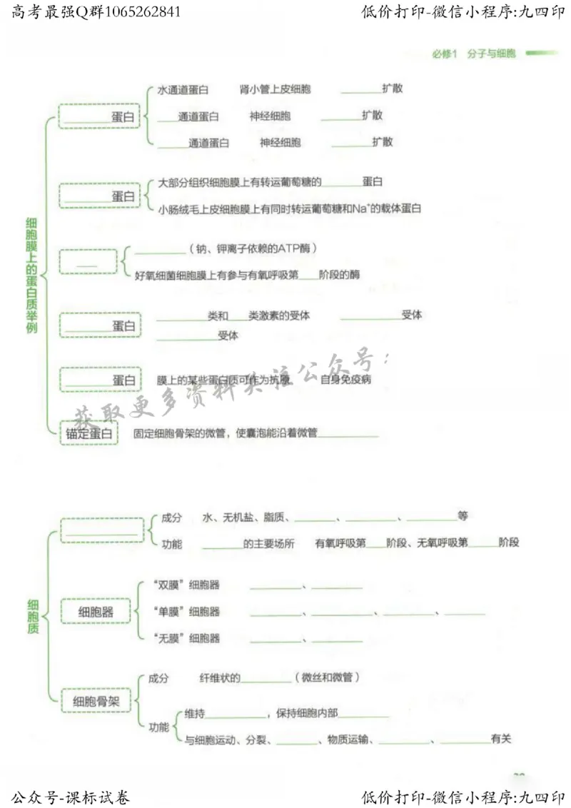 2023新高考生物核心考点基础知识妙招（336页）_高中三年全科资料_高中_高中知识点整理_生物