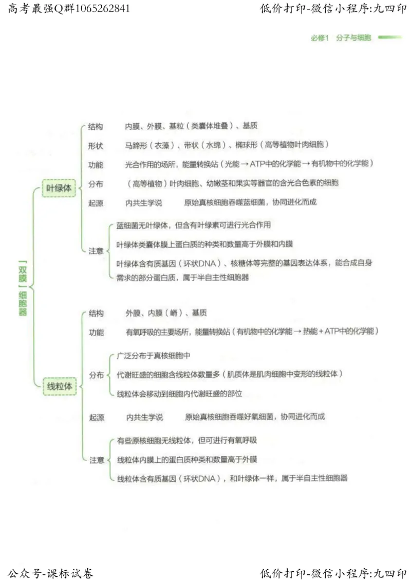 2023新高考生物核心考点基础知识妙招（336页）_高中三年全科资料_高中_高中知识点整理_生物