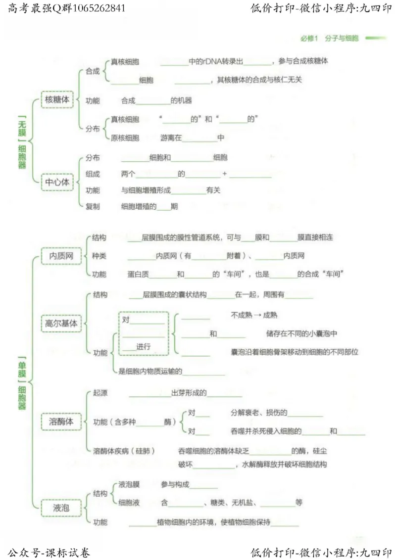 2023新高考生物核心考点基础知识妙招（336页）_高中三年全科资料_高中_高中知识点整理_生物