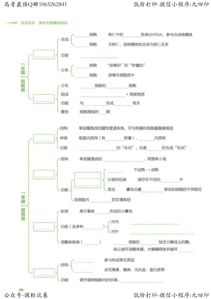 2023新高考生物核心考点基础知识妙招（336页）_高中三年全科资料_高中_高中知识点整理_生物