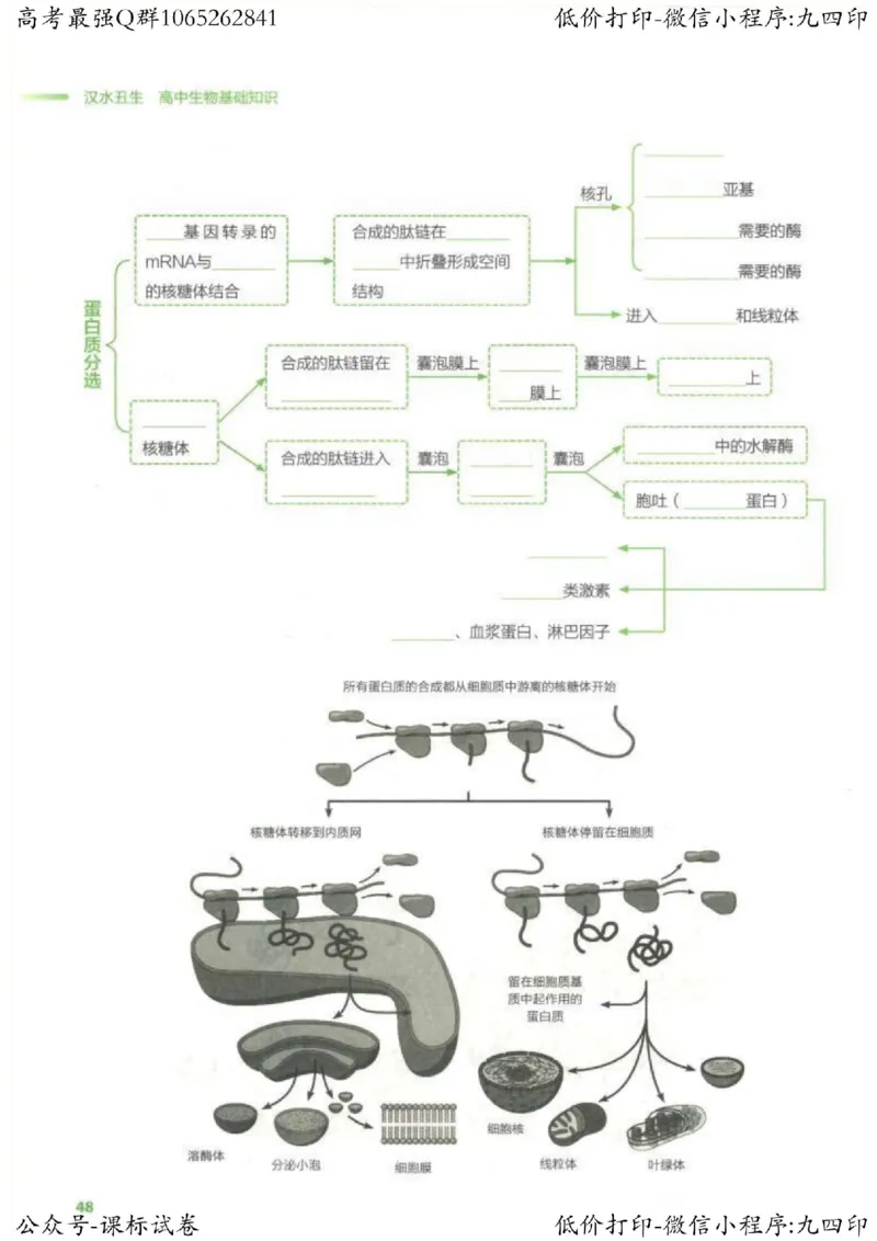 2023新高考生物核心考点基础知识妙招（336页）_高中三年全科资料_高中_高中知识点整理_生物