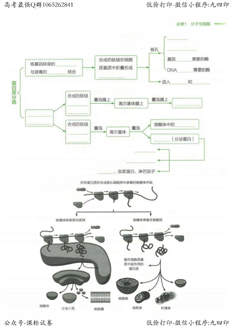 2023新高考生物核心考点基础知识妙招（336页）_高中三年全科资料_高中_高中知识点整理_生物