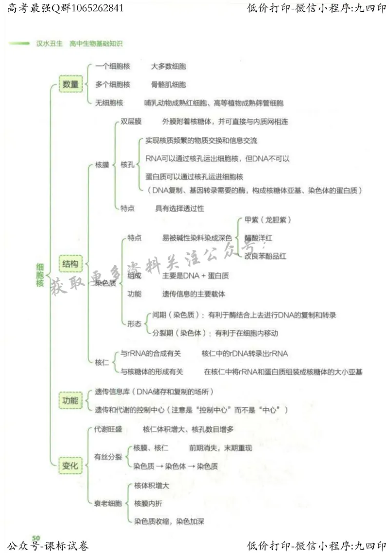 2023新高考生物核心考点基础知识妙招（336页）_高中三年全科资料_高中_高中知识点整理_生物