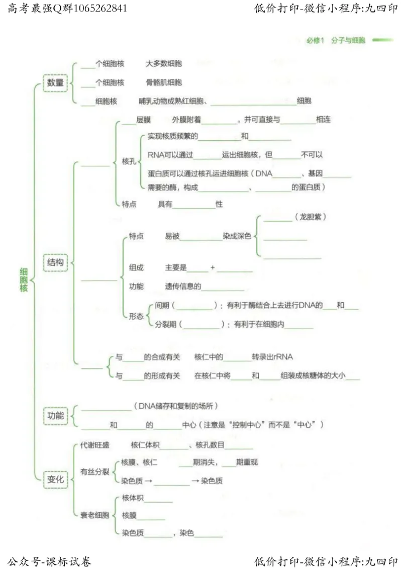 2023新高考生物核心考点基础知识妙招（336页）_高中三年全科资料_高中_高中知识点整理_生物