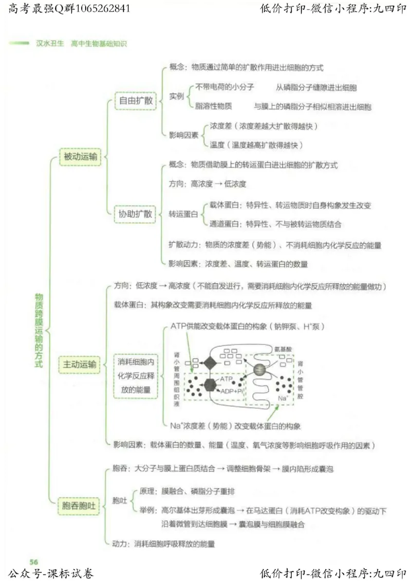2023新高考生物核心考点基础知识妙招（336页）_高中三年全科资料_高中_高中知识点整理_生物