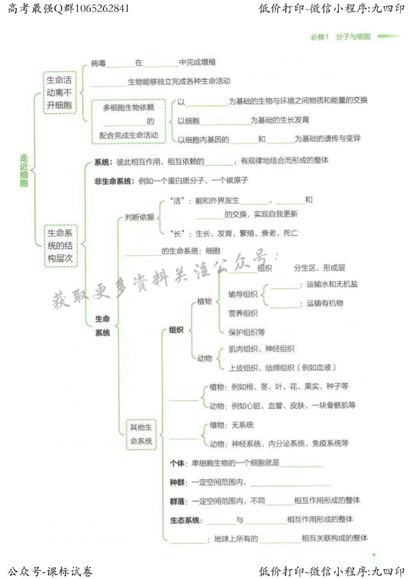 2023新高考生物核心考点基础知识妙招（336页）_高中三年全科资料_高中_高中知识点整理_生物