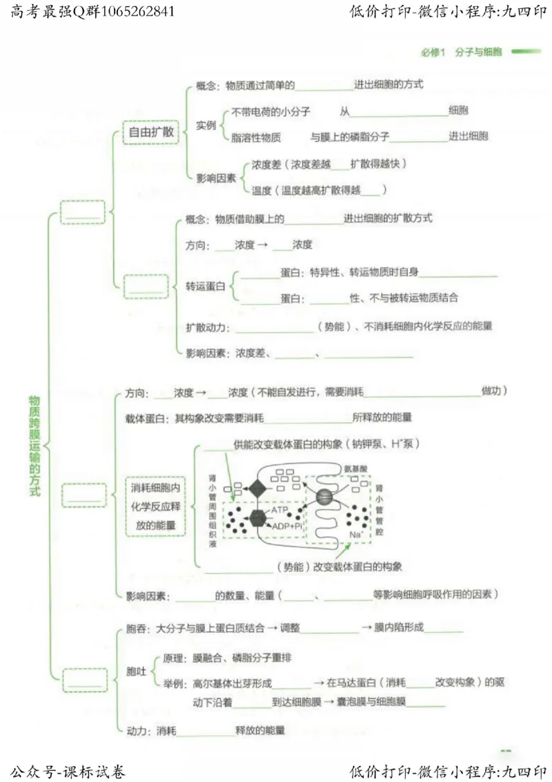 2023新高考生物核心考点基础知识妙招（336页）_高中三年全科资料_高中_高中知识点整理_生物