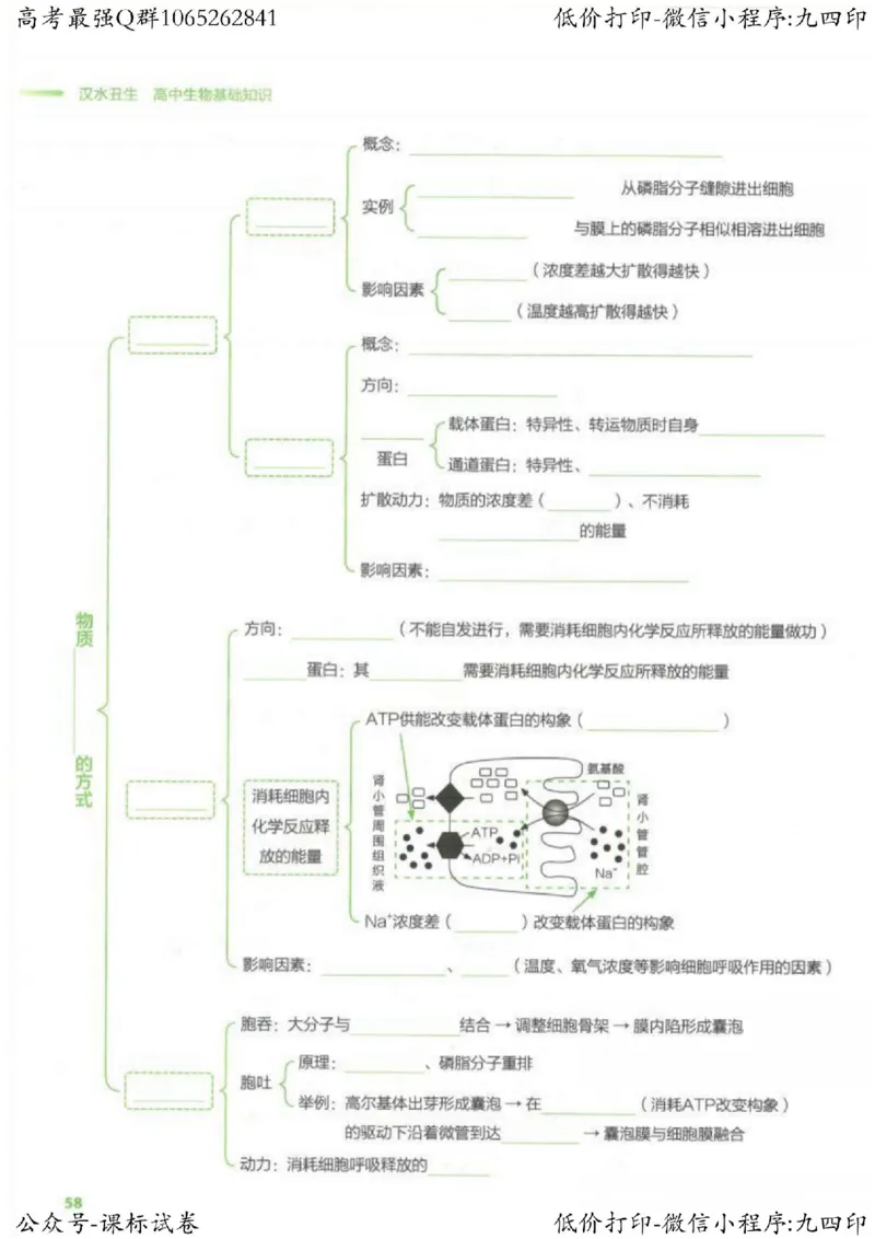 2023新高考生物核心考点基础知识妙招（336页）_高中三年全科资料_高中_高中知识点整理_生物