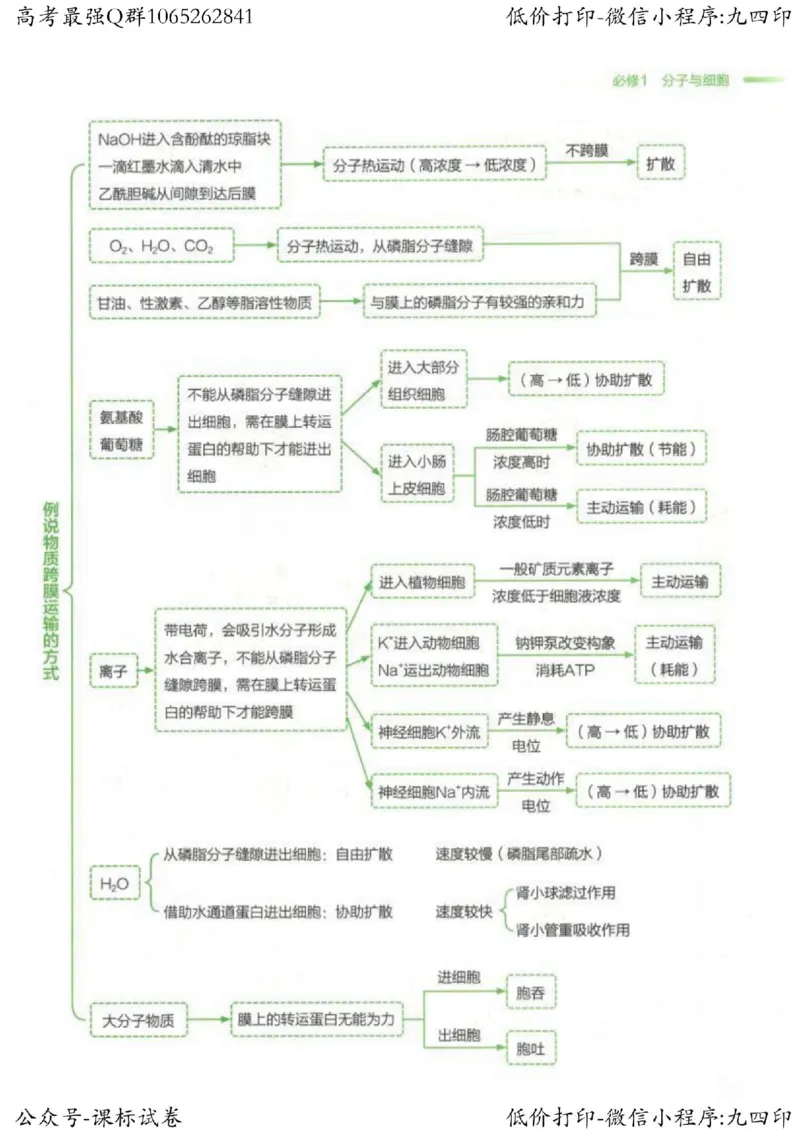 2023新高考生物核心考点基础知识妙招（336页）_高中三年全科资料_高中_高中知识点整理_生物
