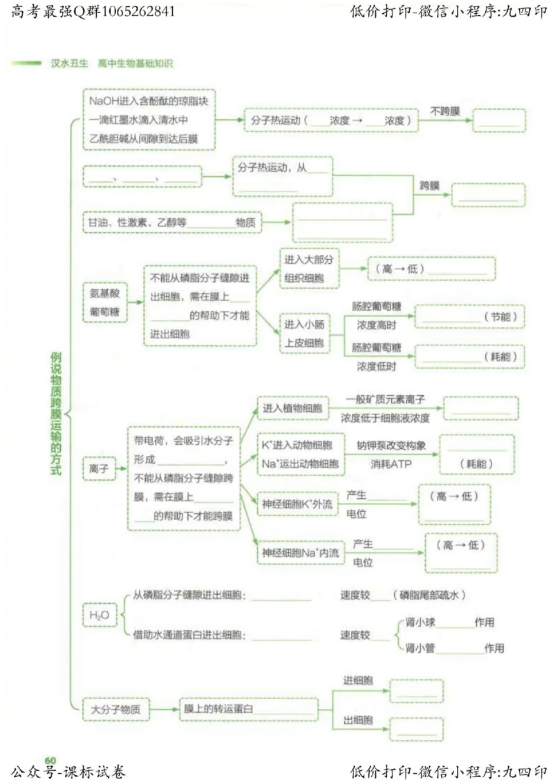 2023新高考生物核心考点基础知识妙招（336页）_高中三年全科资料_高中_高中知识点整理_生物