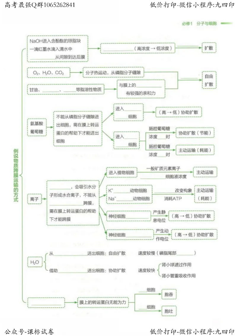 2023新高考生物核心考点基础知识妙招（336页）_高中三年全科资料_高中_高中知识点整理_生物