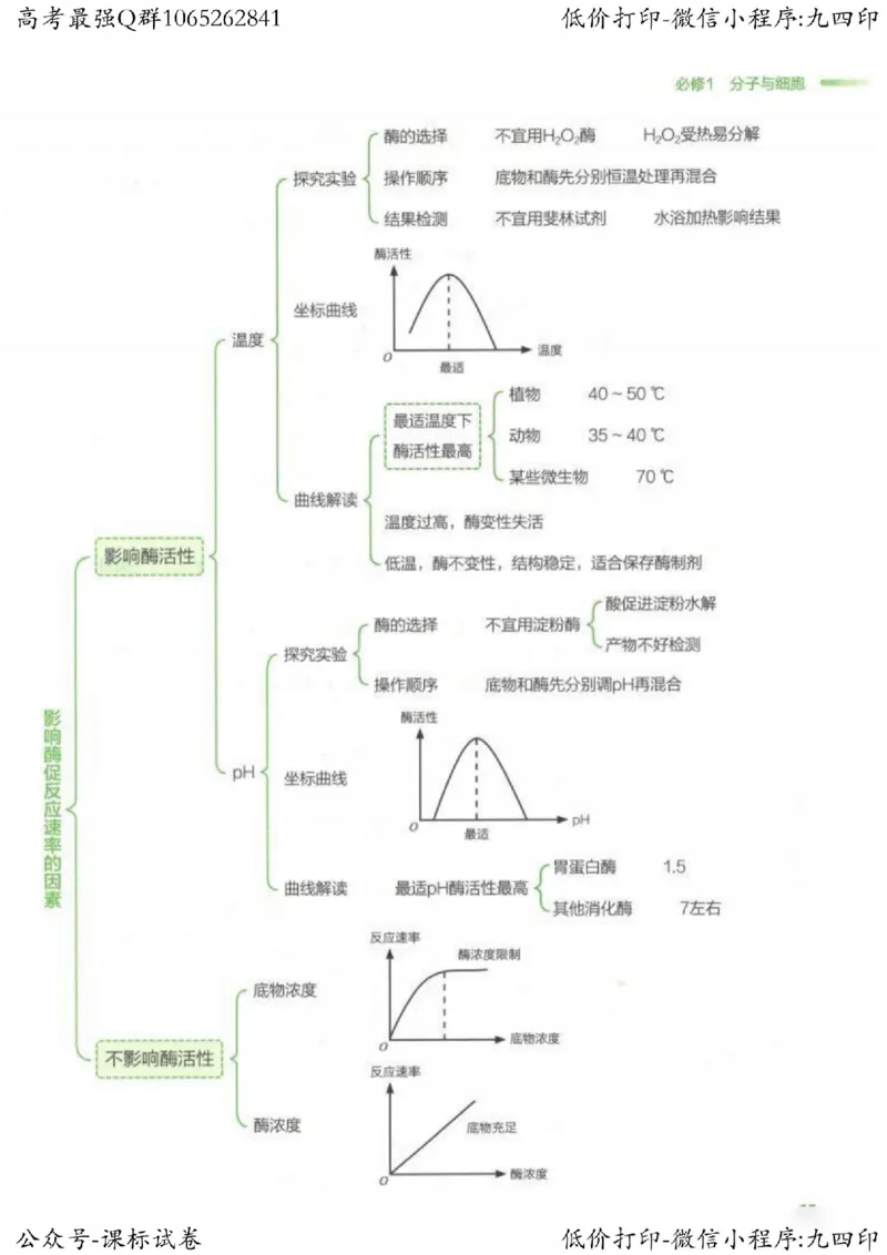 2023新高考生物核心考点基础知识妙招（336页）_高中三年全科资料_高中_高中知识点整理_生物