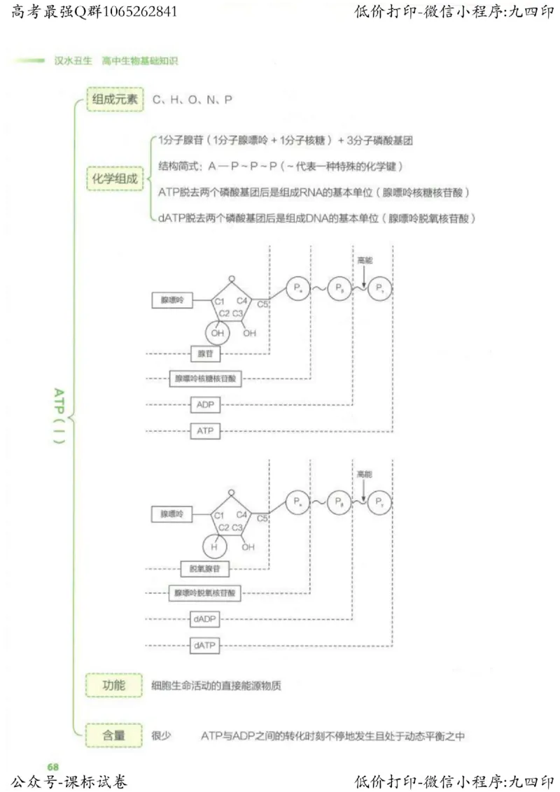2023新高考生物核心考点基础知识妙招（336页）_高中三年全科资料_高中_高中知识点整理_生物